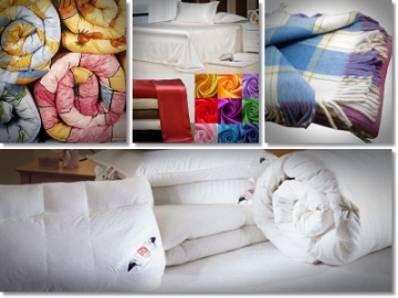 In lobortis velit nec - 4857