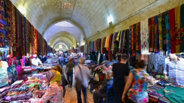 Curabitur volutpat risus ac mauris tempor euismod.Aliqu - 1703