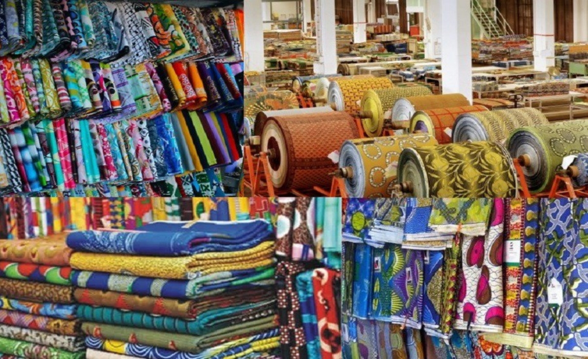 Phasellus sed nulla justo. In - 2953